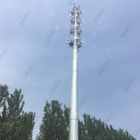 Monopole Telecom Tower Price Self Supporting Steel Pole Mobile Cell Site Telecom Tower